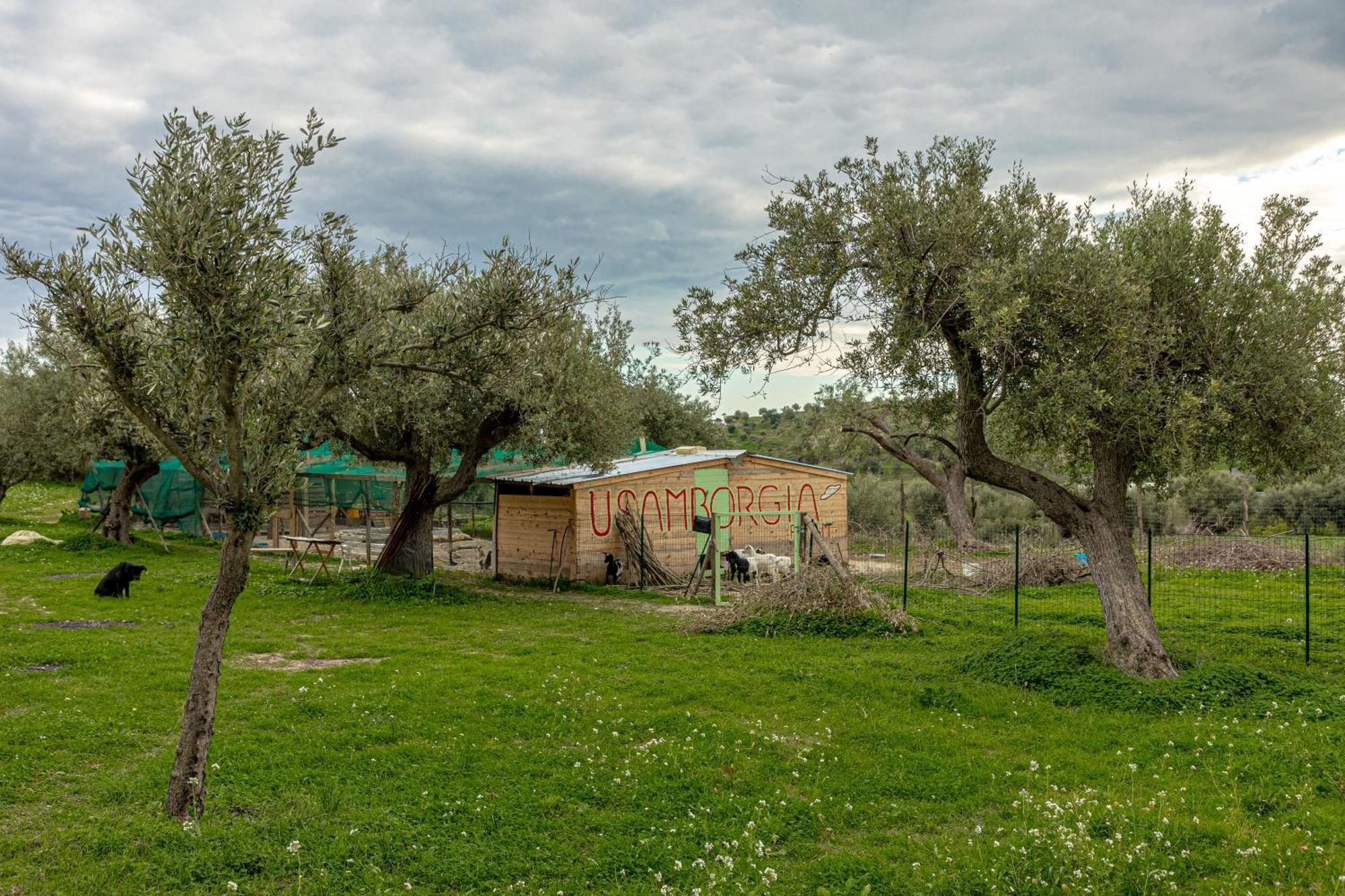 Masseria Usamborgia Ното Екстериор снимка