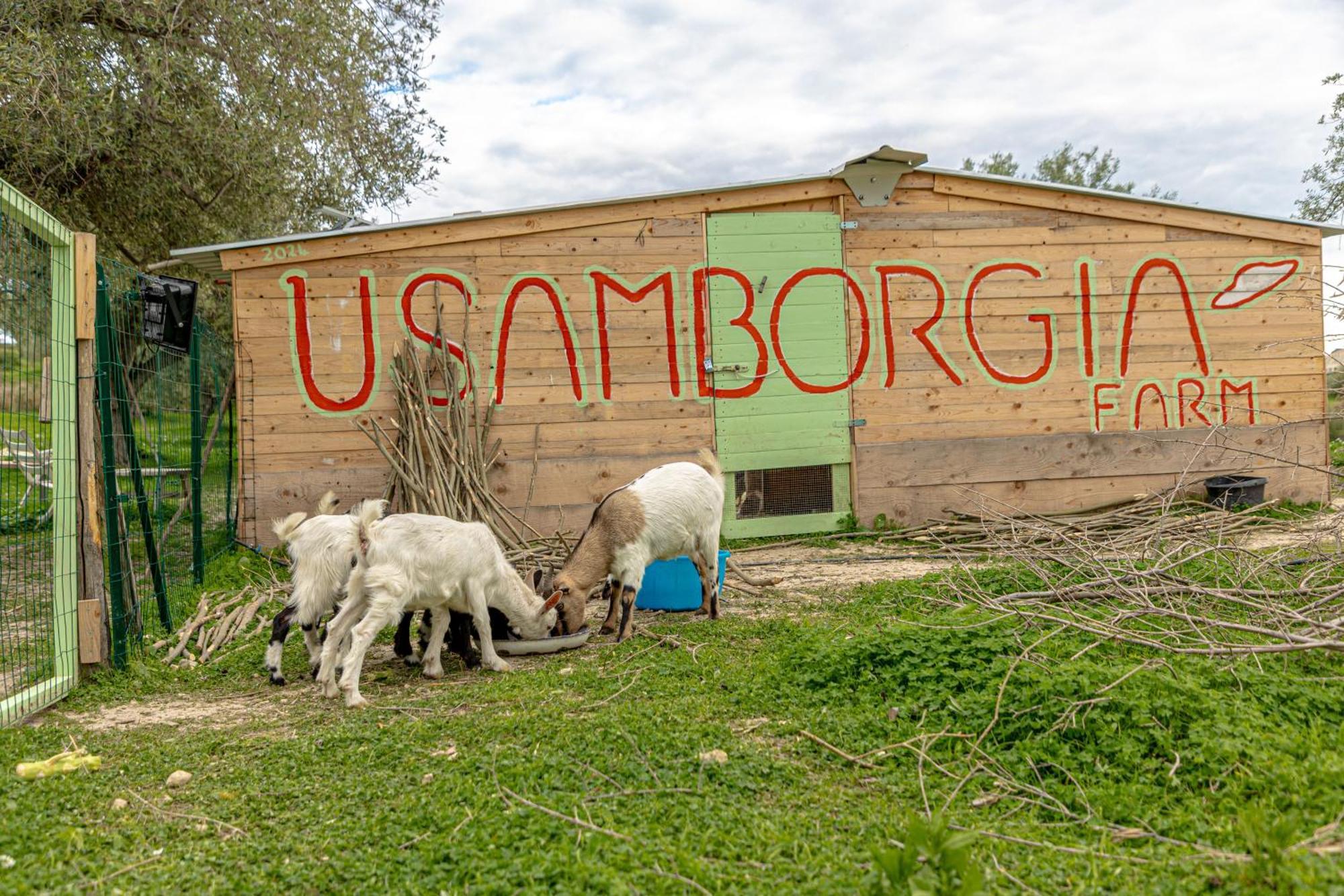 Masseria Usamborgia Ното Екстериор снимка